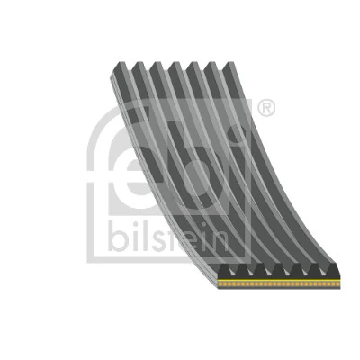 V-ribbed Belt